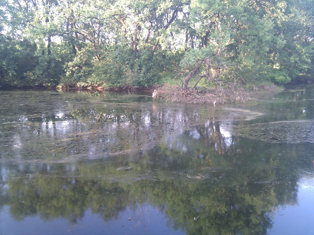 IMG 20120613 192356
