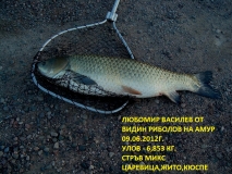 Picture 00143