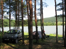 IMG 7781