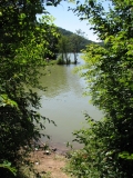 IMG 7808