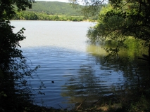 IMG 7810
