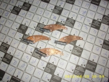 IMG 3875