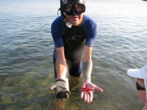 IMG 7864