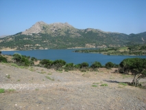 IMG 7923