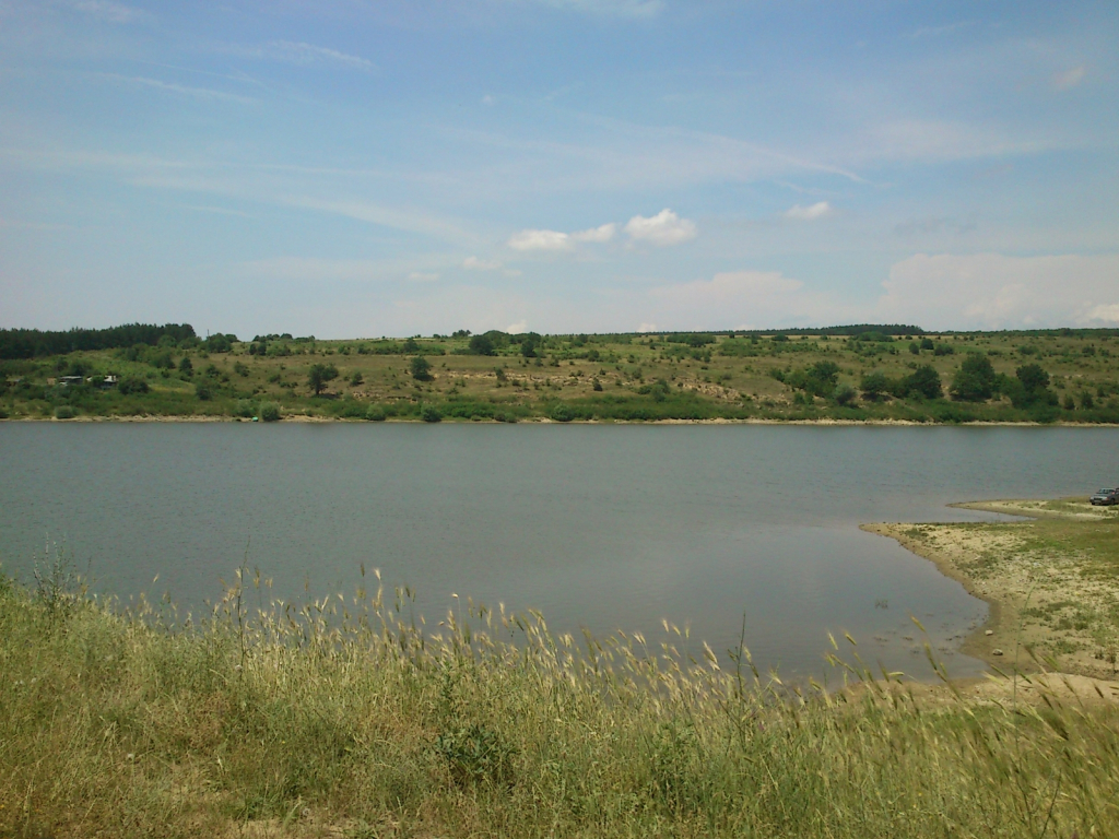 DSC 0179