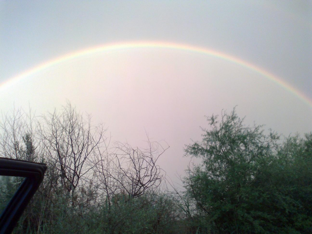 010620122079