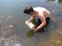 IMG 0776