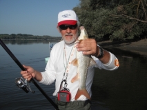 Barbel 2