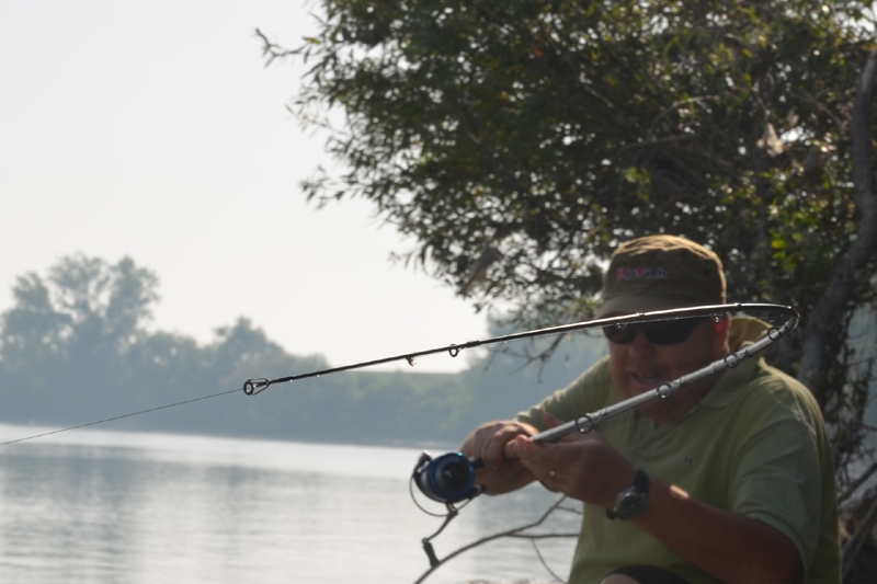 Barbel 5