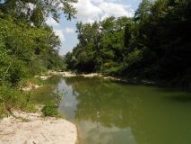 Barbel 25