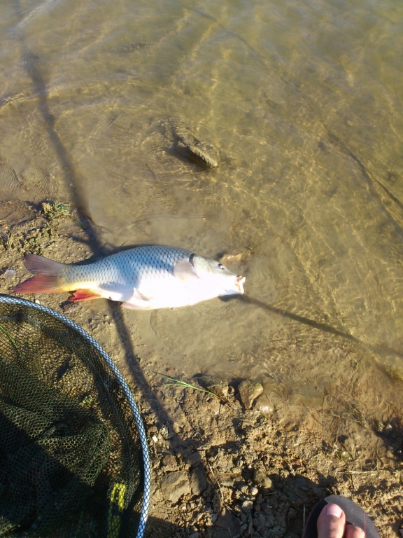 DSC 0421