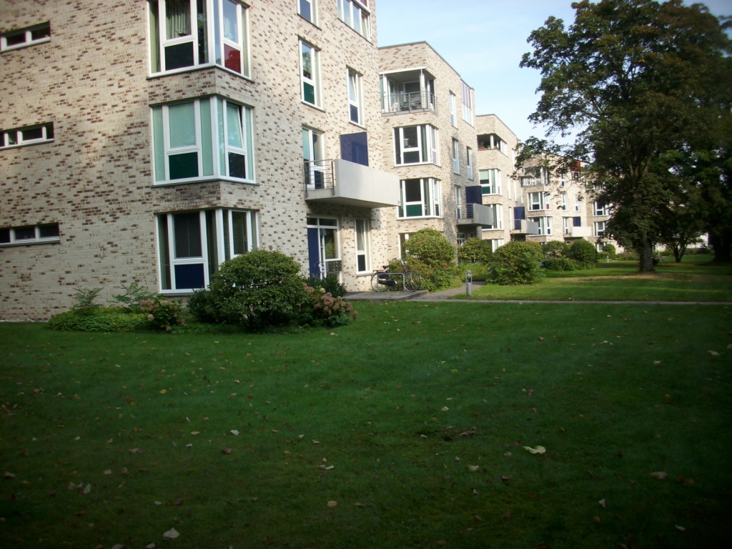 IMG 2069
