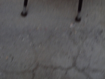 DSC00749
