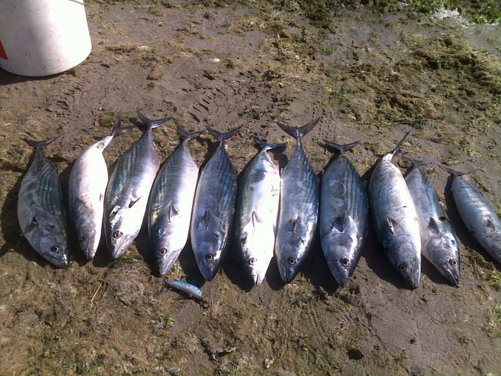 30092012581