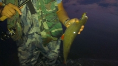 IMG-20121005-WA0007