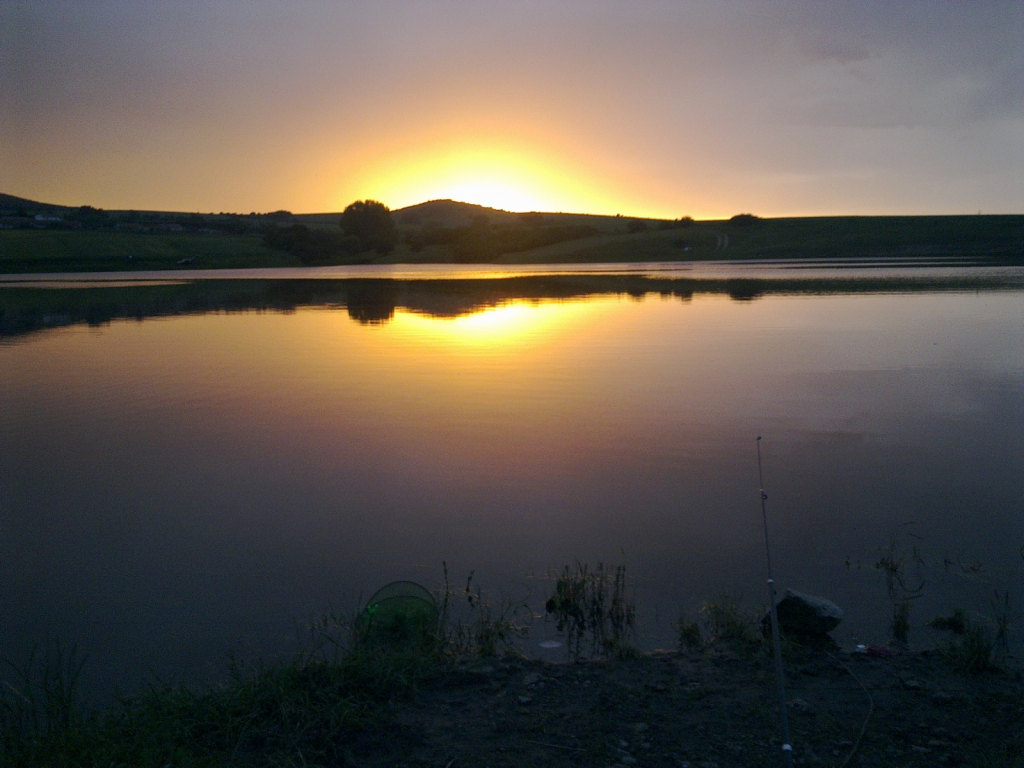 10062012938
