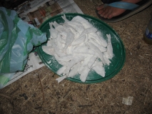 IMG 0001