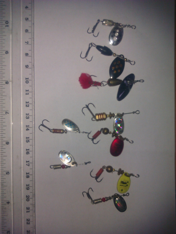 IMAG0072