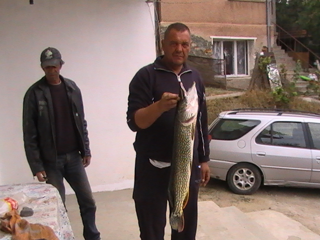 PIC 0206