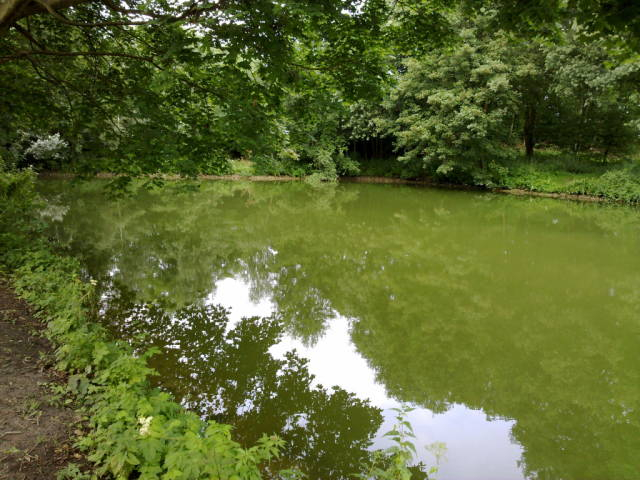 Muenster-kanal