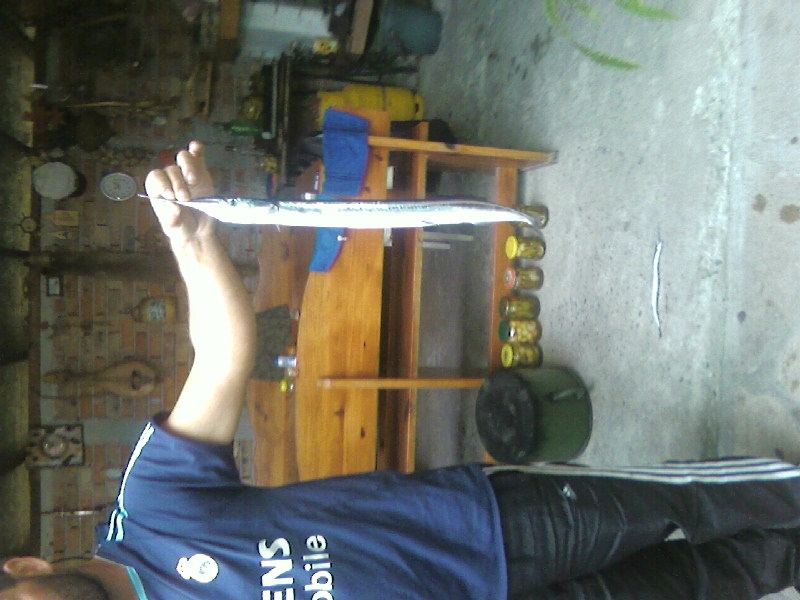 Photo-0117