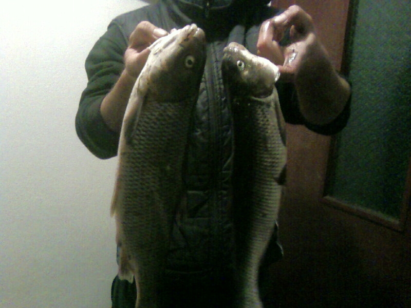 Photo-0134