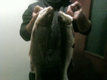 Photo-0134