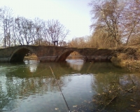 Photo0356