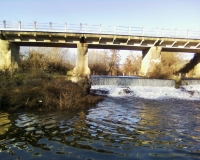 Photo0365