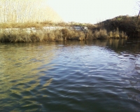 Photo0366