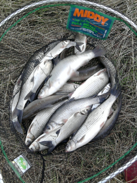 23.01.2013 г.