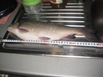 ноември - 2010г 051.jpg