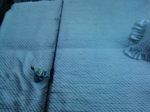 Photo-0017