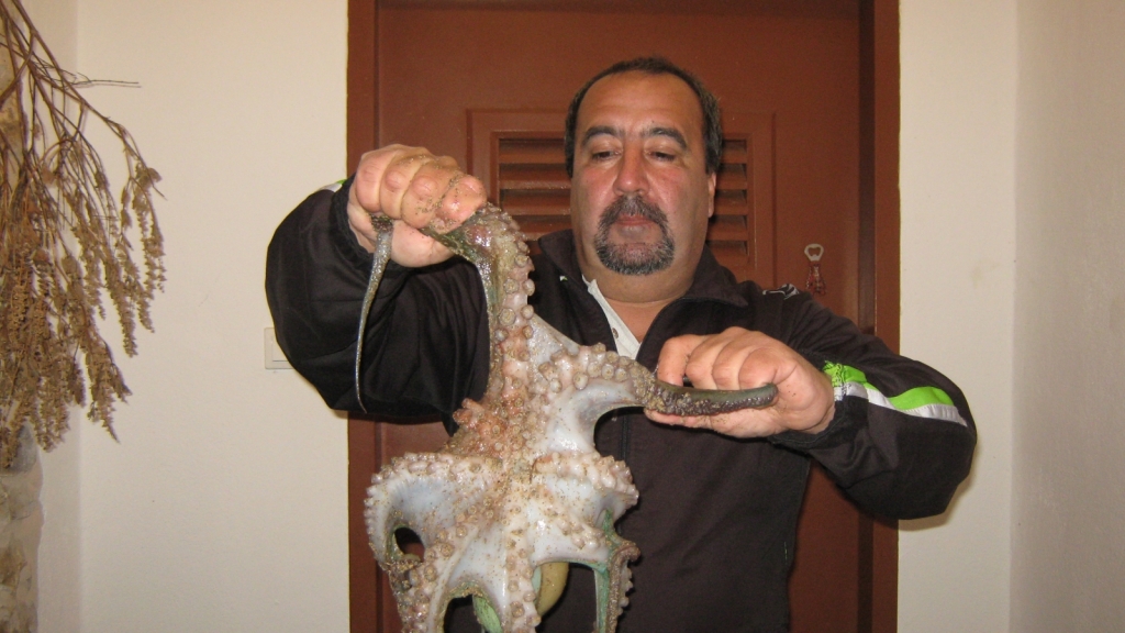oktopod 001