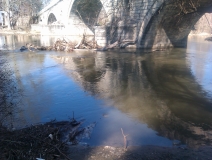 IMAG0102