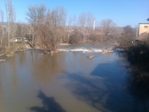 IMAG0104