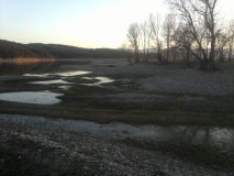2013-03-01-350