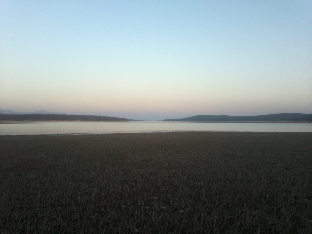 2013-03-01-357