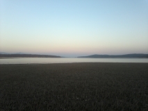 2013-03-01-357