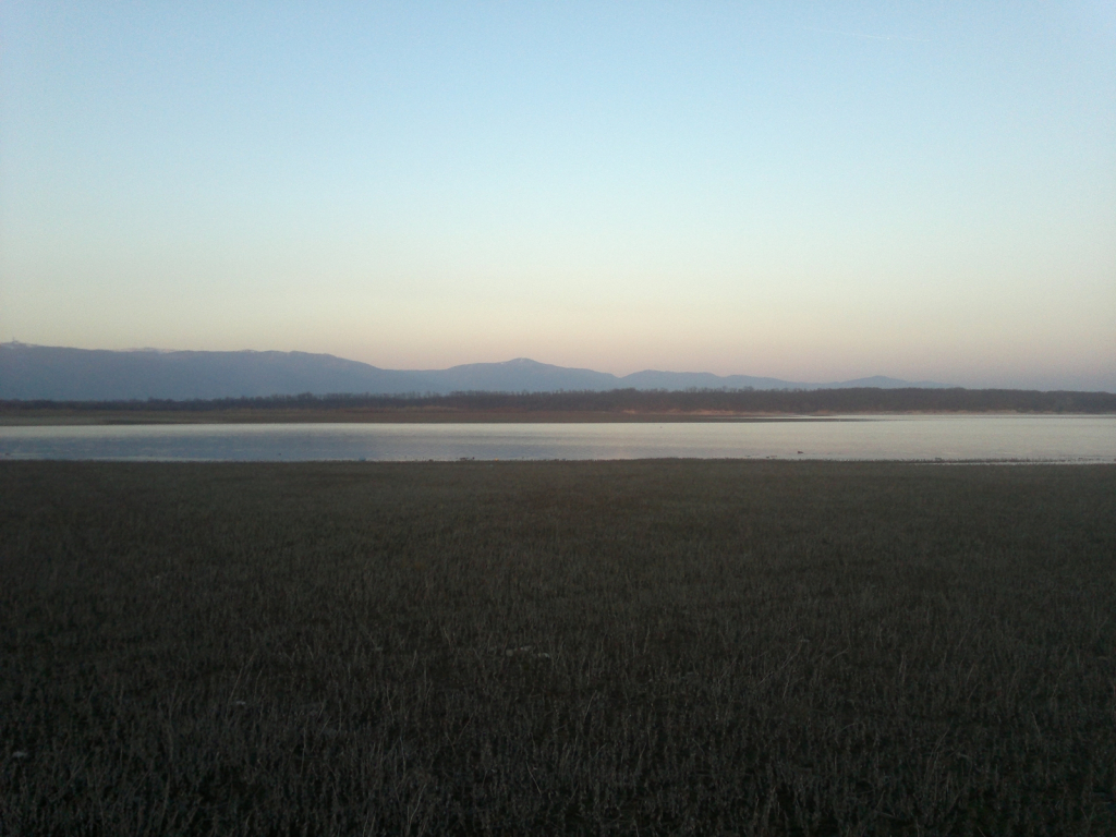 2013-03-01-358