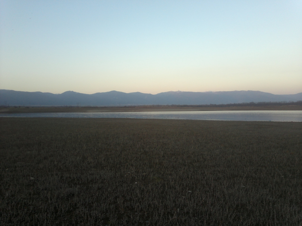 2013-03-01-359
