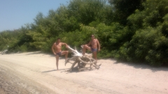 2012-07-25-182