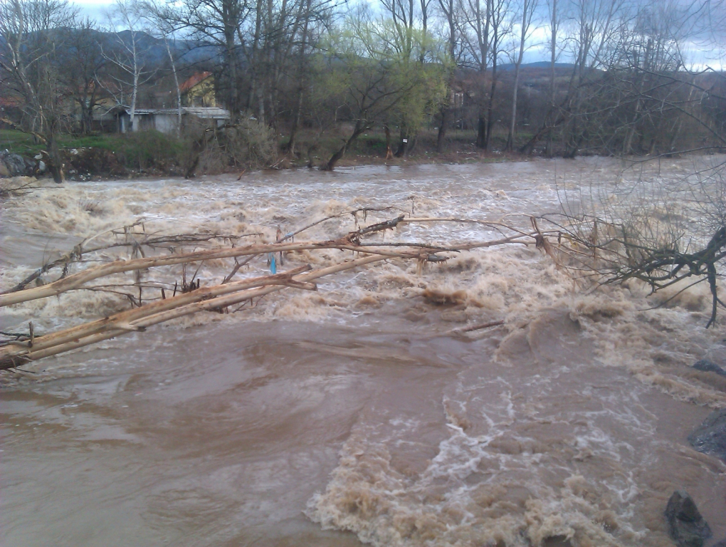 IMAG0111