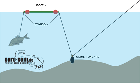 kost