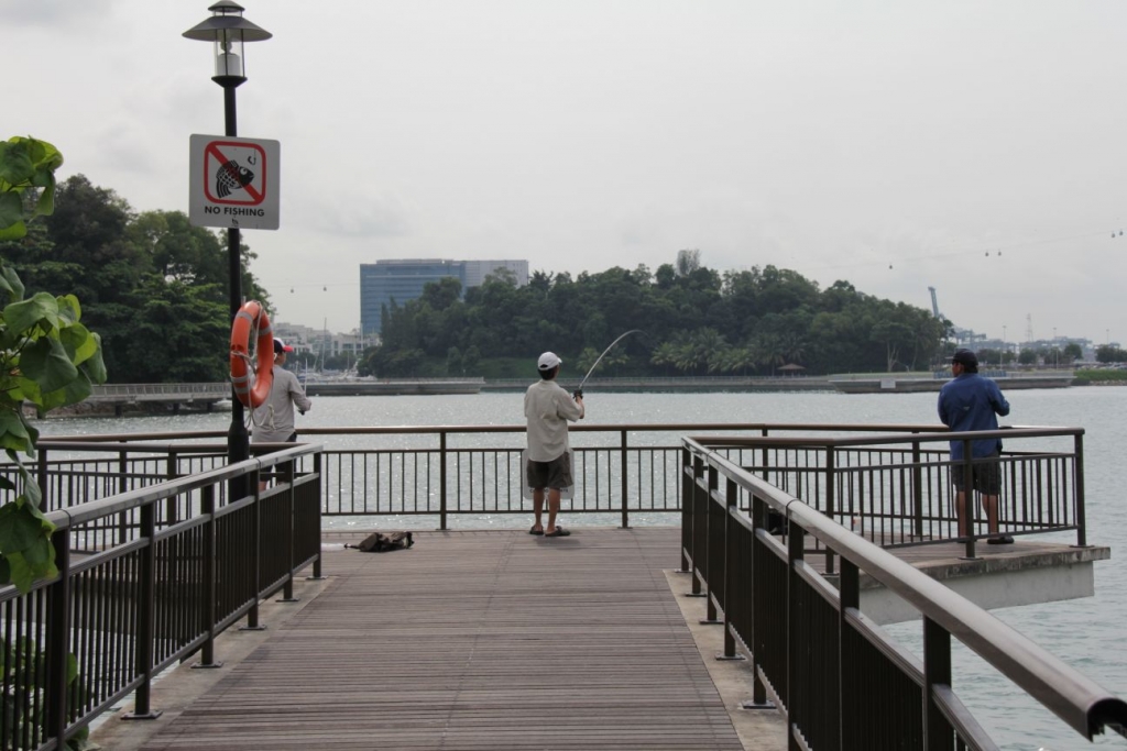 IMG 3217[2]