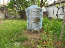 DSCN2535