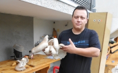 DSCN3795
