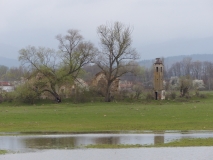 P1000433
