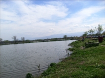 Picture 326