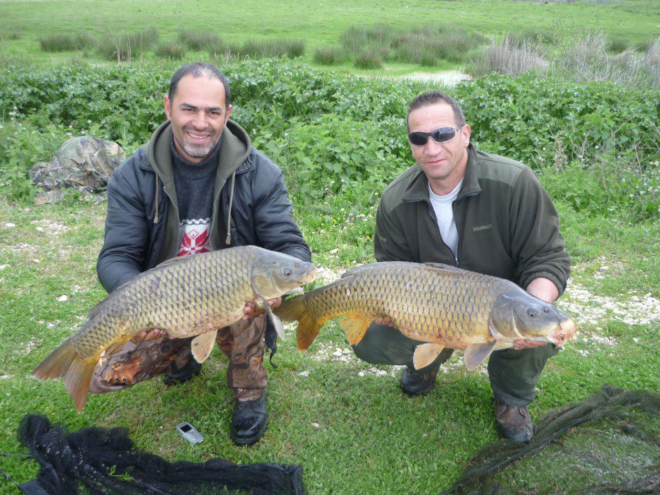 carp 2013